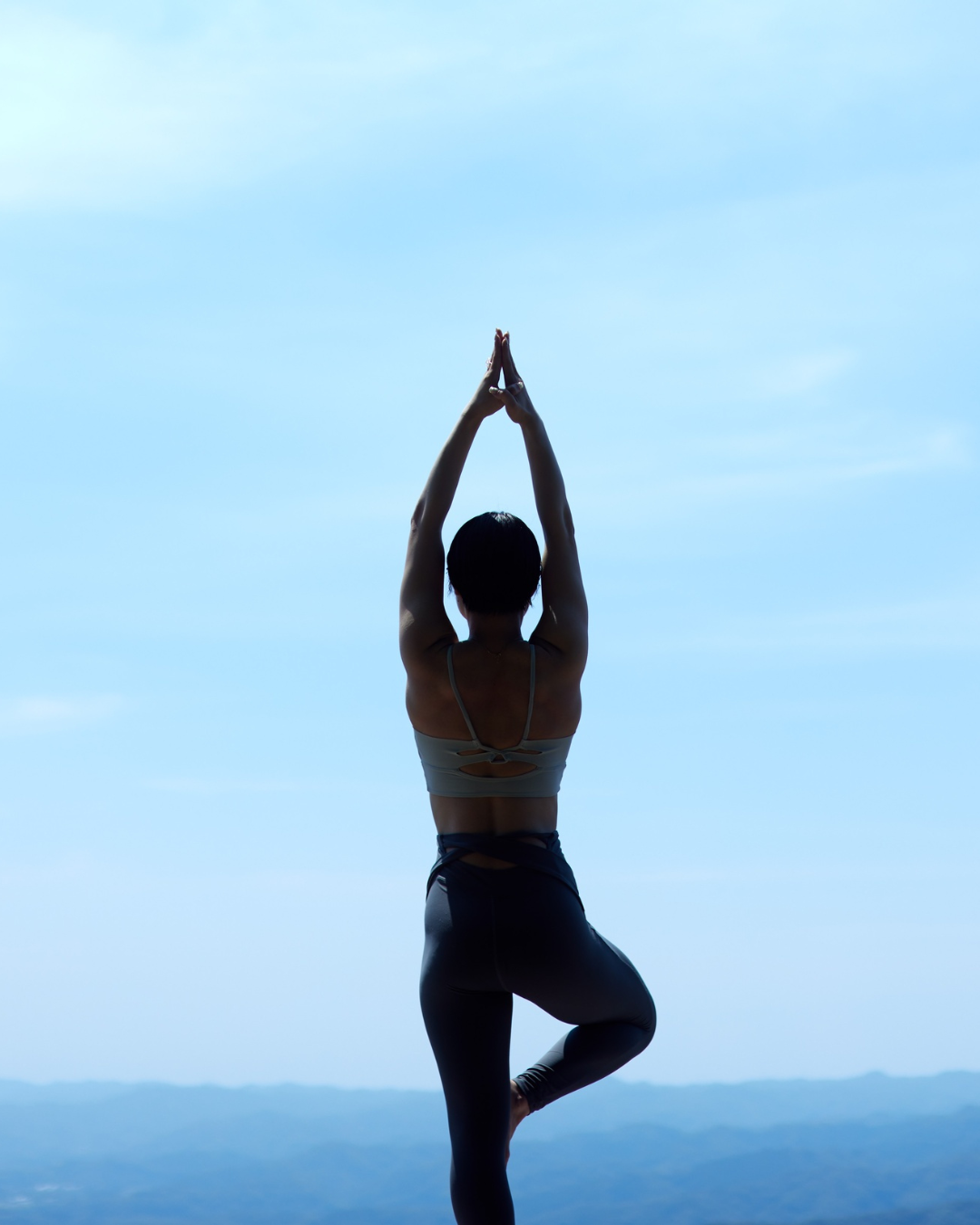 4 Pillars to Balance Method-Coaching package